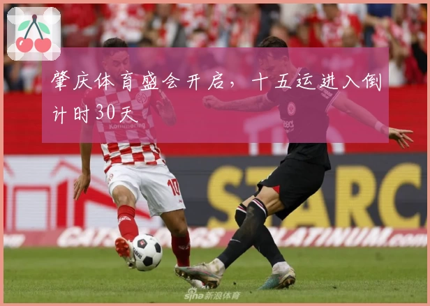 肇庆体育盛会开启,十五运进入倒计时30天