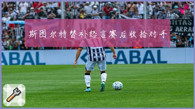 斯图尔特替补怒言赛后收拾对手