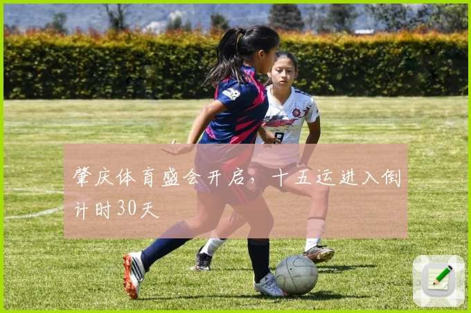 肇庆体育盛会开启,十五运进入倒计时30天
