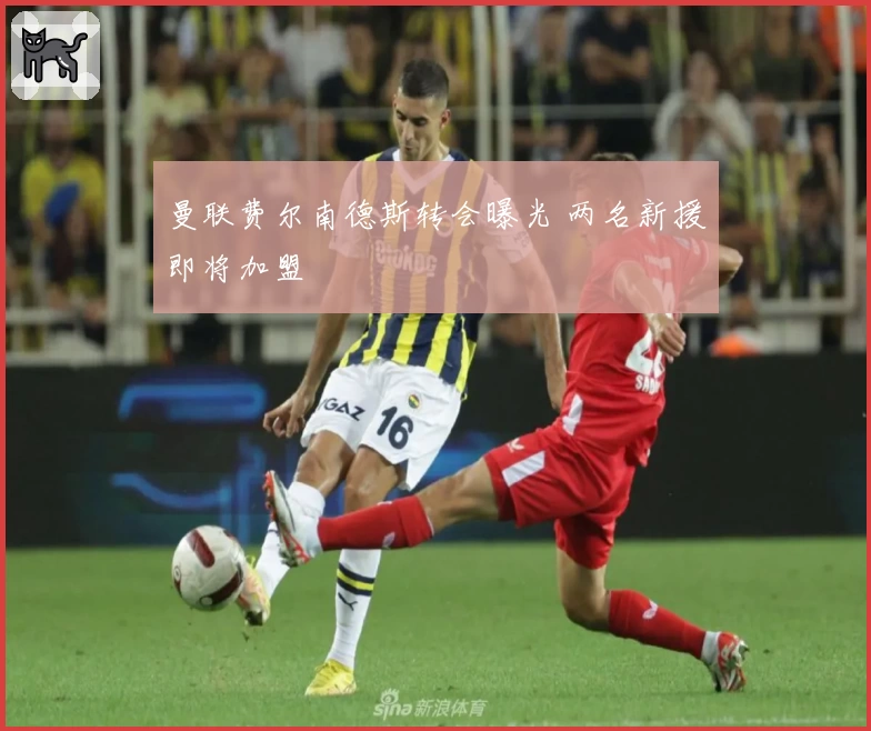 曼联费尔南德斯转会曝光 两名新援即将加盟